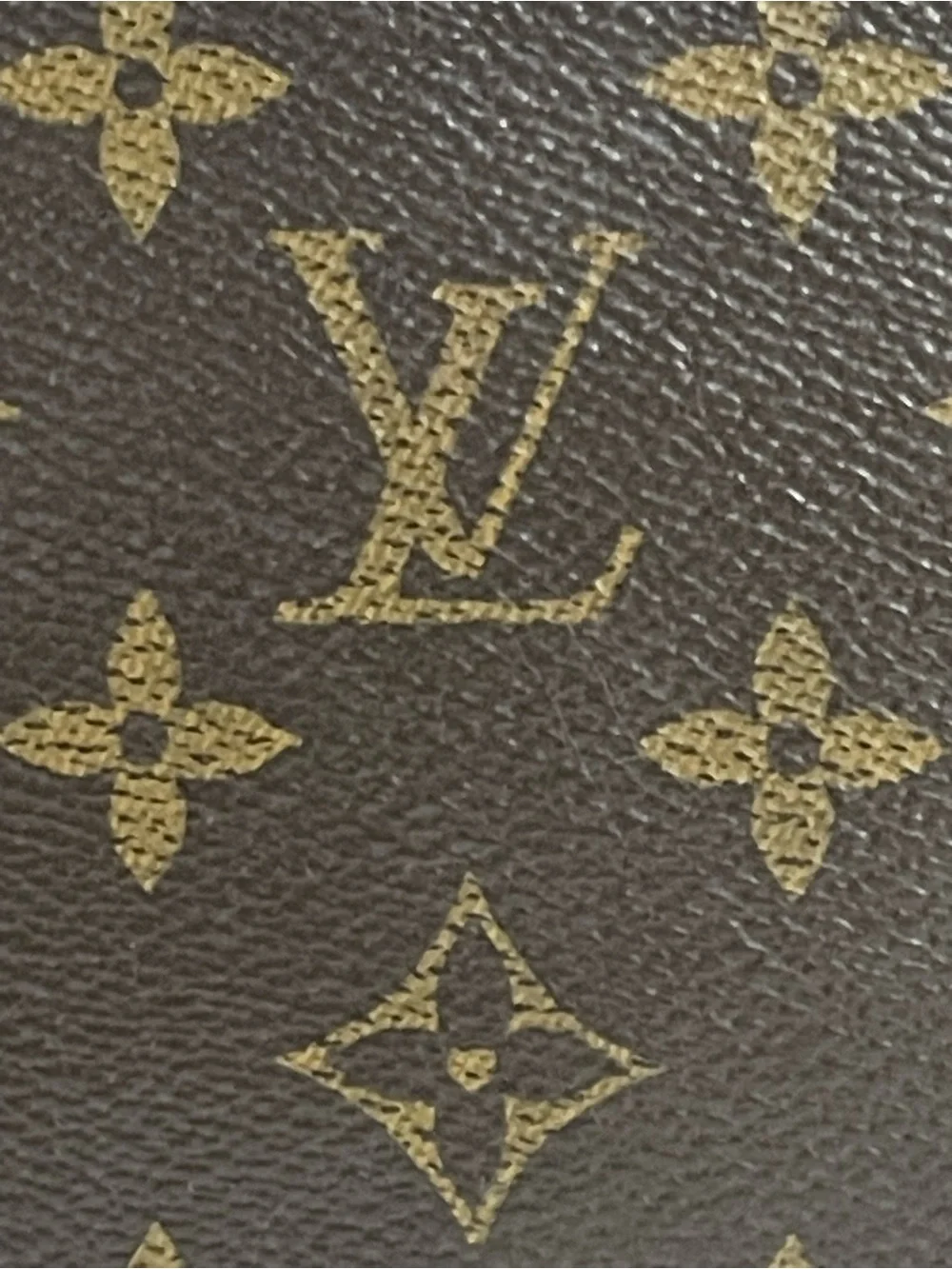 Louis Vuitton iconic louis